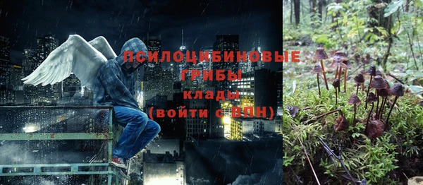 стаф Зерноград