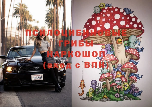 стаф Зерноград