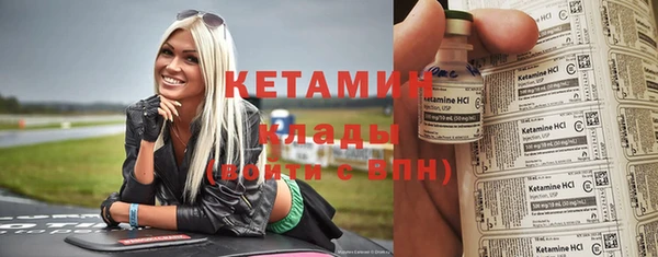 стаф Зерноград