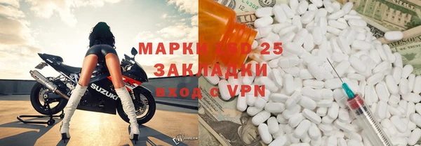 стаф Зерноград
