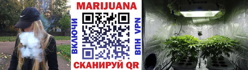 Бошки Шишки OG Kush  Купить где  Себеж 